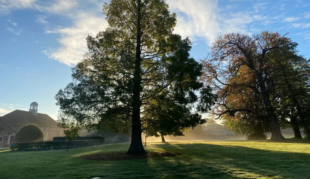 Leighton Park sunlight outdoors